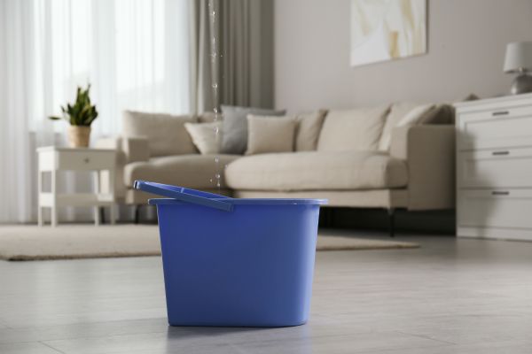 Roof Water Damage Repair Service