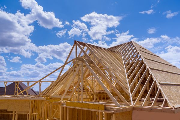 Roof Building