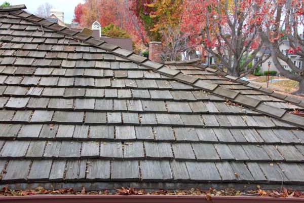 Wood Shingle Roof Installation Service